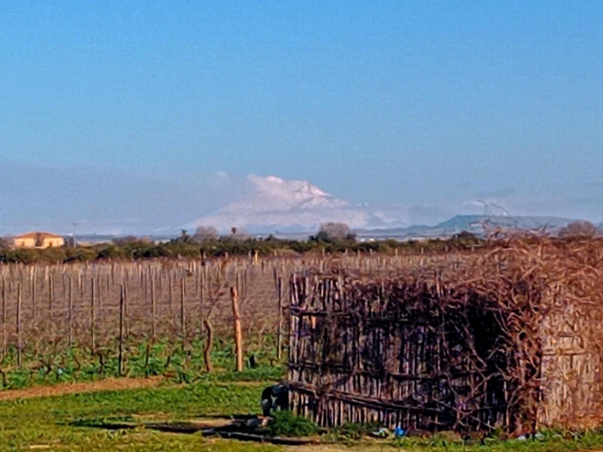 Vigna Di Pettineo - Guest House Vittoria Εξωτερικό φωτογραφία